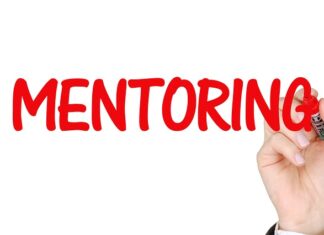 Na czym polega mentoring branżowy?
